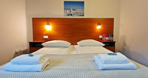 Imagen de la habitación del Hotel Śnieżynka. Foto 5