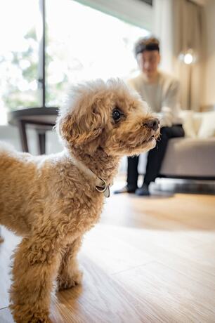 Imagen de la habitación del Hotel nol hakone myojindai. Foto 12