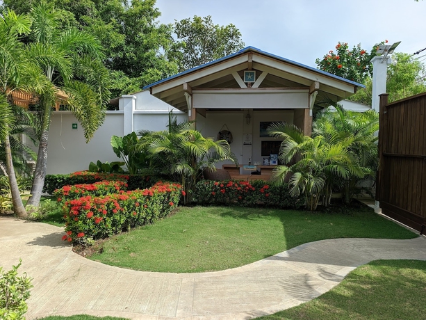 Imagen de los interiores del Hotel oasis tolu boutique. Foto 15