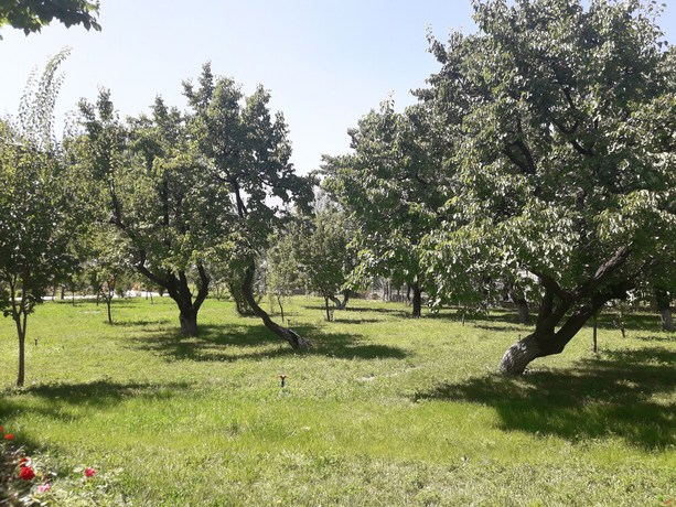 Imagen de los exteriores del Hotel of NBT. Foto 11