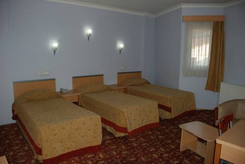 Imagen de la habitación del Hotel otel amiller. Foto 2