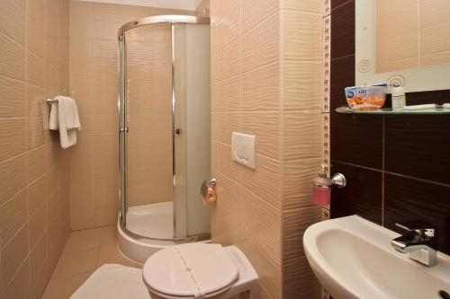 Imagen de la habitación del Hotel pansion šilo. Foto 8