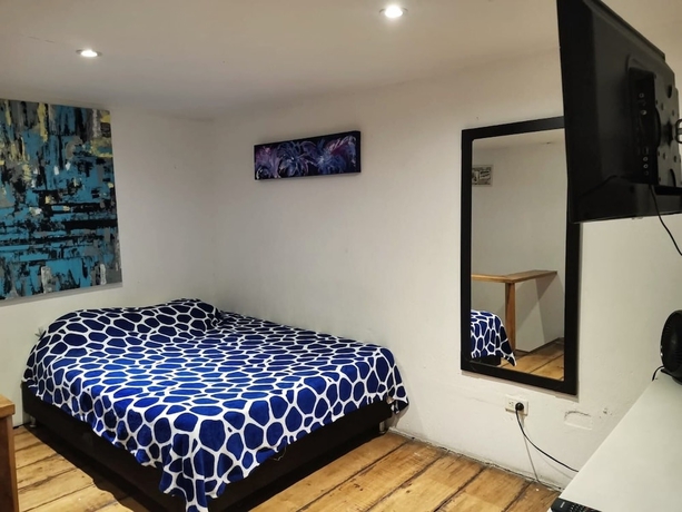 Imagen de la habitación del Hotel parrot house san antonio. Foto 2