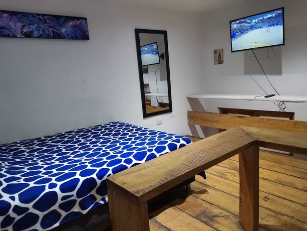 Imagen de la habitación del Hotel parrot house san antonio. Foto 6