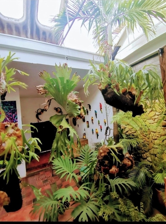 Imagen general del Hotel parrot house san antonio. Foto 1