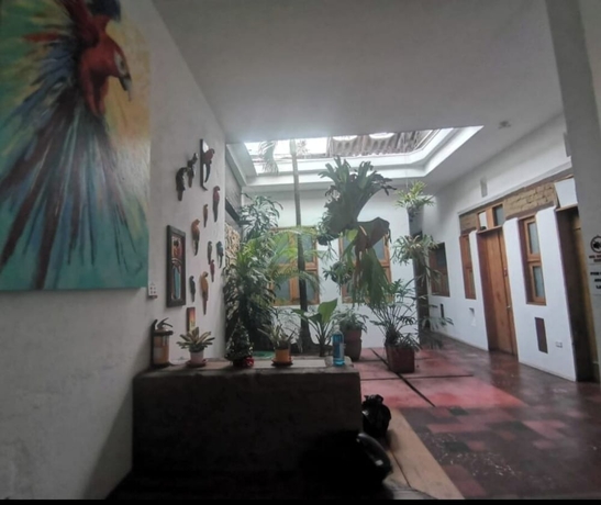 Imagen de los interiores del Hotel parrot house san antonio. Foto 15