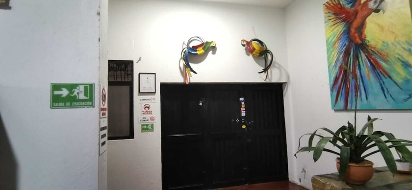 Imagen de los interiores del Hotel parrot house san antonio. Foto 16