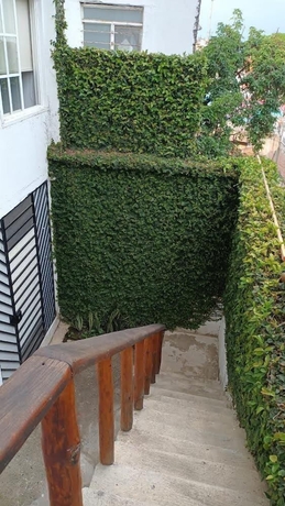 Imagen de la habitación del Hotel parrot house san antonio. Foto 11