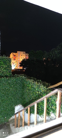 Imagen de la habitación del Hotel parrot house san antonio. Foto 12
