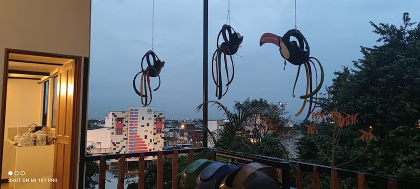 Imagen de la habitación del Hotel parrot house san antonio. Foto 13
