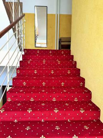 Imagen de la habitación del Hotel penzion alfa poděbrady. Foto 11