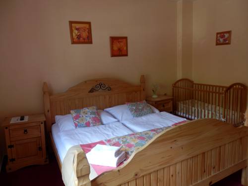 Imagen de la habitación del Hotel penzion jano&scaron;t&iacute;k. Foto 4