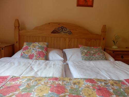 Imagen de la habitación del Hotel penzion jano&scaron;t&iacute;k. Foto 7