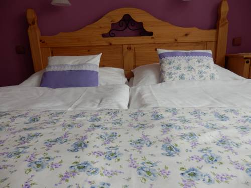 Imagen de la habitación del Hotel penzion jano&scaron;t&iacute;k. Foto 11