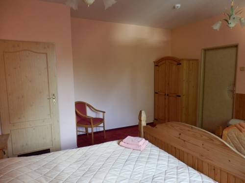 Imagen de la habitación del Hotel penzion jano&scaron;t&iacute;k. Foto 16