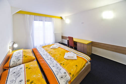 Imagen de la habitación del Hotel penzion volař&iacute;k. Foto 13