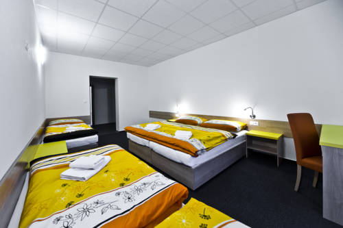 Imagen de la habitación del Hotel penzion volař&iacute;k. Foto 16