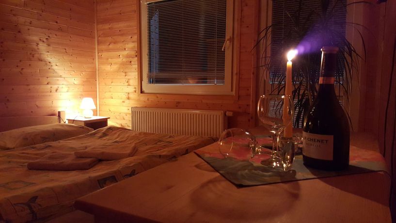 Imagen de la habitación del Hotel pod Sokolím. Foto 14