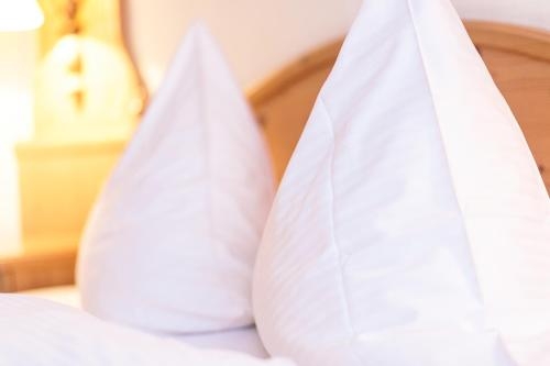 Imagen general del Hotel -restaurant Fronm&uuml;hle. Foto 6