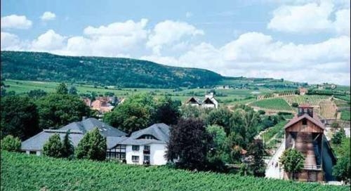 Imagen general del Hotel -restaurant Fronm&uuml;hle. Foto 9