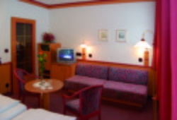 Imagen general del Hotel restaurant Grimmingblick. Foto 3