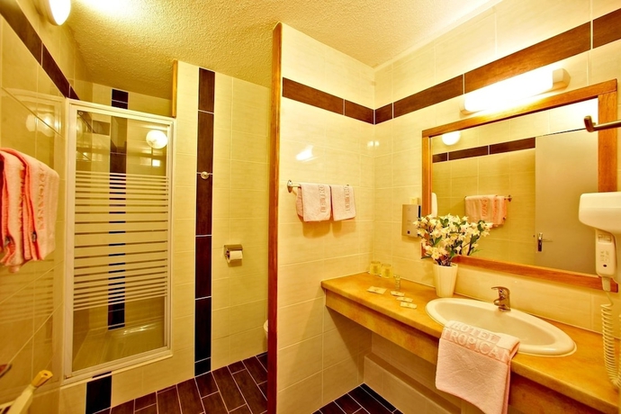 Imagen de la habitación del Hotel -restaurant Logis Le Tropicana. Foto 16