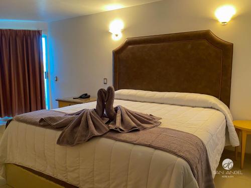 Imagen de la habitación del Hotel san angel spa. Foto 18