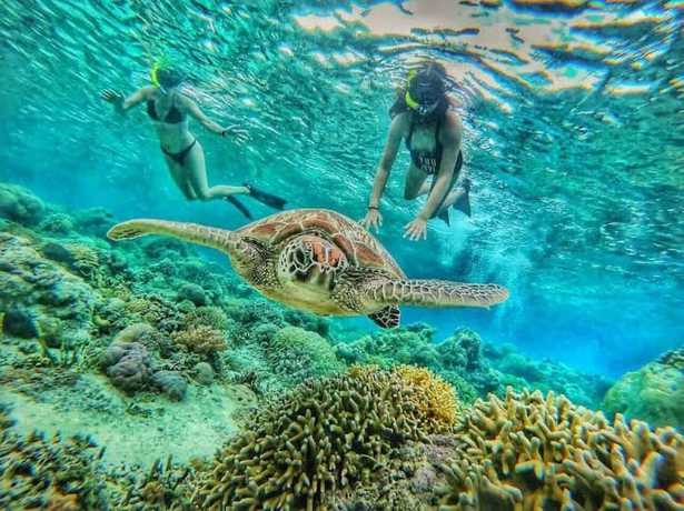 Imagen de los exteriores del Hotel sea shell resort. Foto 13