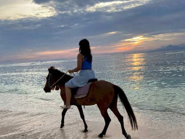 Imagen general del Hotel sea shell resort. Foto 2