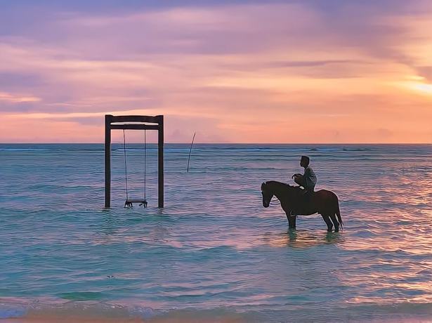 Imagen general del Hotel sea shell resort. Foto 3