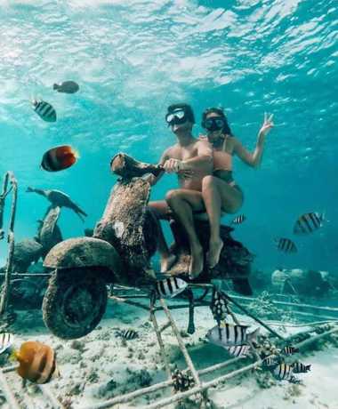 Imagen de los exteriores del Hotel sea shell resort. Foto 17