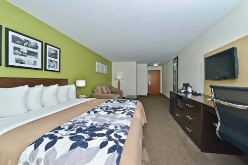 Imagen de la habitación del Hotel sleep inn & suites harrisburg - hershey north. Foto 8