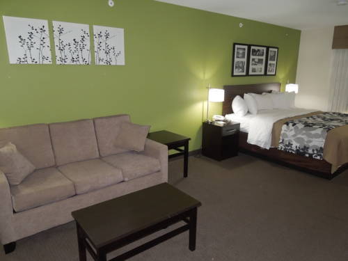 Imagen de la habitación del Hotel sleep inn & suites harrisburg - hershey north. Foto 11