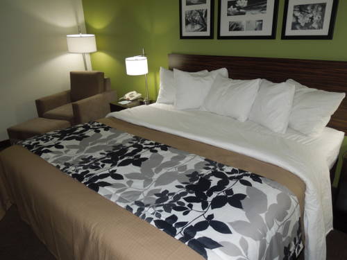 Imagen de la habitación del Hotel sleep inn & suites harrisburg - hershey north. Foto 16