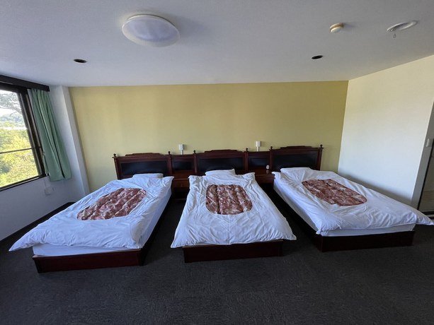 Imagen de la habitación del Hotel souryuukihoteru. Foto 8