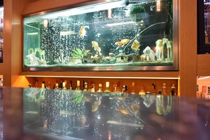 Imagen general del Hotel İstanköy. Foto 2