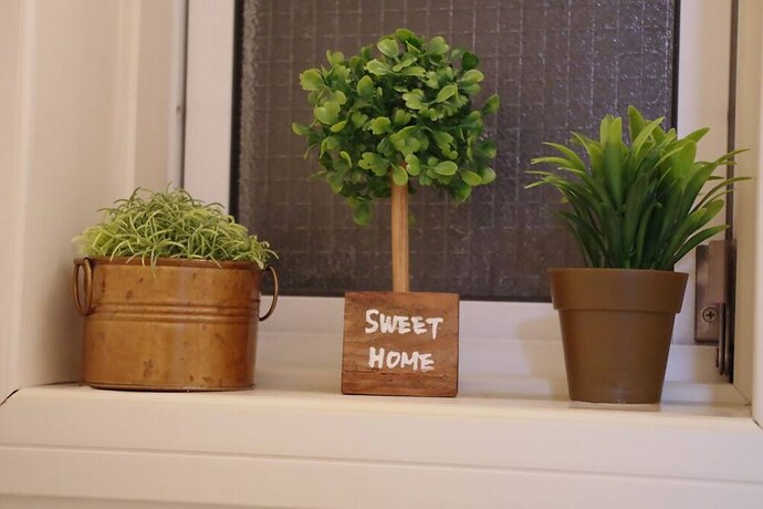 Imagen de los interiores del Hotel suzuki4. Foto 20