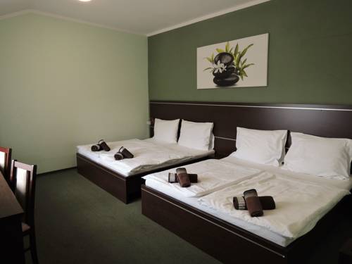 Imagen de la habitación del Hotel třebovick&yacute; ml&yacute;n. Foto 11