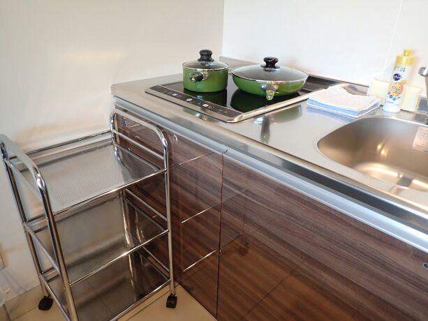 Imagen general del Hotel terrace IRIOMOTEJIMA CONDOMINIUM. Foto 5