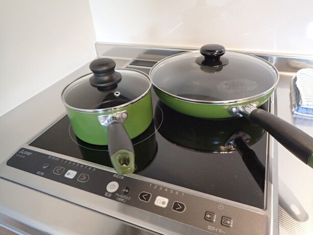 Imagen de la habitación del Hotel terrace IRIOMOTEJIMA CONDOMINIUM. Foto 29