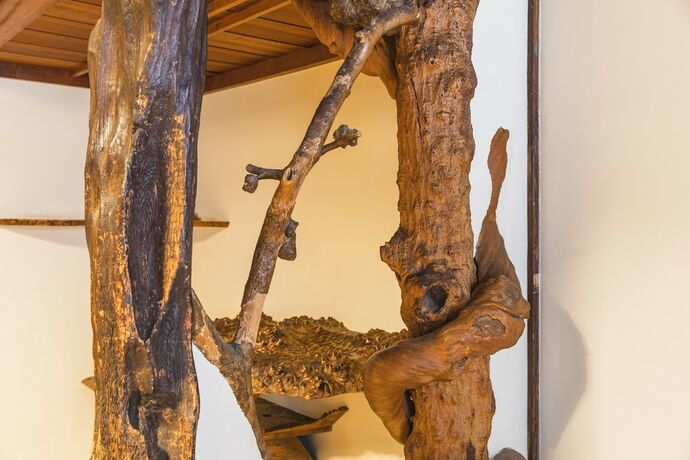 Imagen general del Hotel tsutaonsen. Foto 4