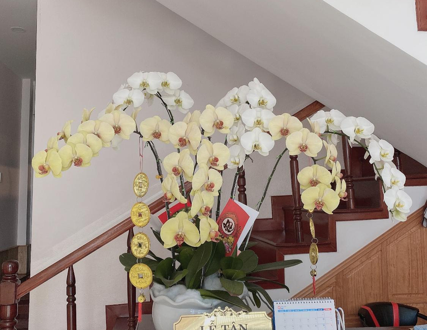 Imagen general del Hotel tuyết sơn. Foto 5