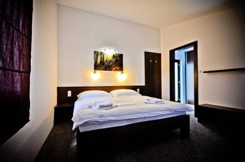 Imagen de la habitación del Hotel u fořta. Foto 8