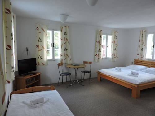 Imagen de la habitación del Hotel u fořta. Foto 9