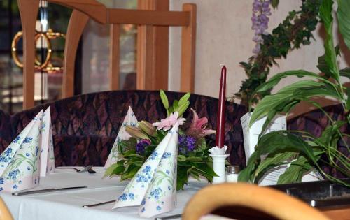 Imagen general del Hotel und Restaurant Sackwitzer M&uuml;hle. Foto 5