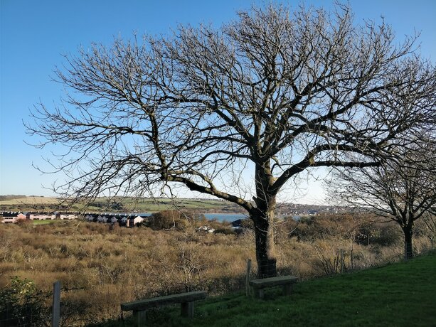 Imagen de la habitación del Hotel vfjorden. Foto 28