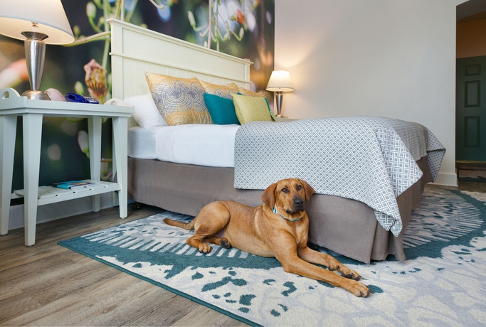 Imagen de los interiores del Hotel voco Sarasota by IHG. Foto 16