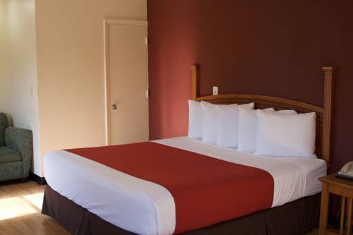 Imagen de la habitación del Hotel voco The Darwin - Atlanta Midtown by IHG. Foto 4