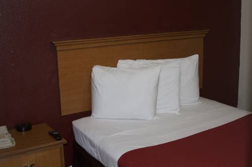 Imagen de la habitación del Hotel voco The Darwin - Atlanta Midtown by IHG. Foto 8