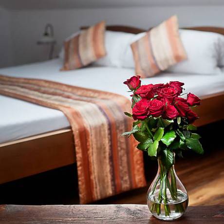 Imagen de la habitación del Hotel wellness hotel kolštejn. Foto 4